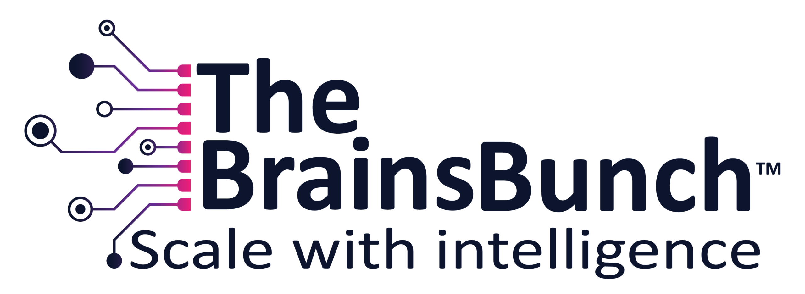 The Brains Bunch